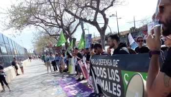 Actos el fin de semana en Valencia en defensa de los animales marinos