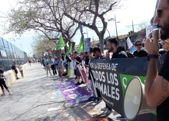 Actos el fin de semana en Valencia en defensa de los animales marinos