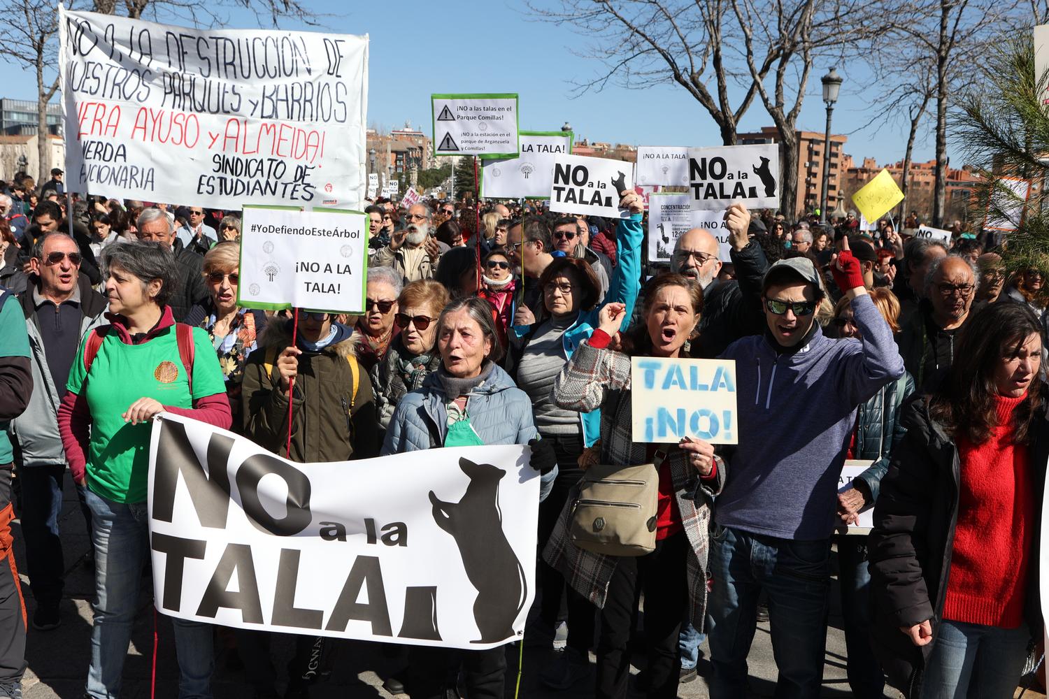 La autorización de tala en Madrid Río emitida por el Ayuntamiento de ...