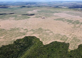 La filtración de un documento secreto revela la inacción de la UE ante los impactos del comercio con Sudamérica