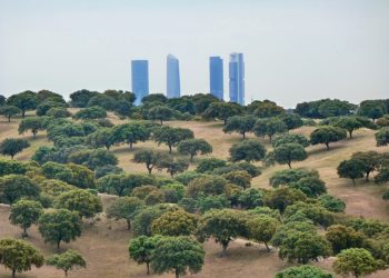 El Monte de El Pardo debe gestionarse bajo una figura de protección que garantice la conservación de su biodiversidad