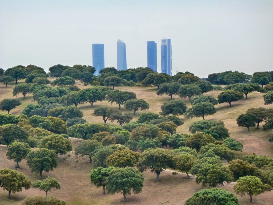 El Monte de El Pardo debe gestionarse bajo una figura de protección que garantice la conservación de su biodiversidad