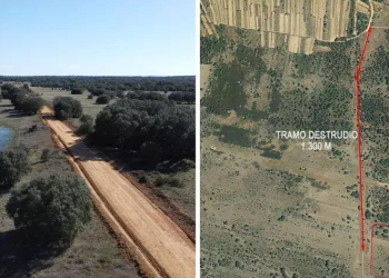 Hispania Nostra lamenta la destrucción de una de las mejores calzadas romanas de España, en Castrocalbón (León)