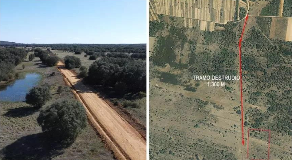 Hispania Nostra lamenta la destrucción de una de las mejores calzadas romanas de España, en Castrocalbón (León)