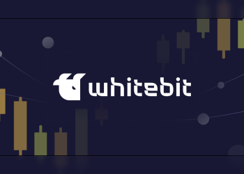 Cómo elegir un activo de criptomonedas para comerciar en WhiteBIT