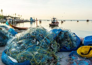 La nueva Ley de Pesca avanza en la gestión pesquera pero es injusta en el reparto