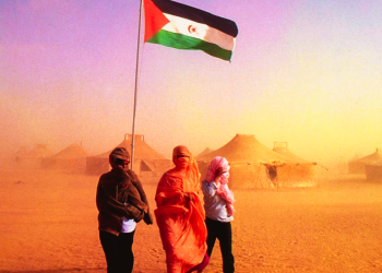 Comunicado en defensa de los DDHH del Pueblo Saharaui, impulsado en el III Foro Mundial de Derechos Humanos