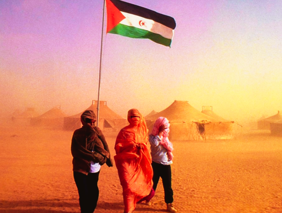Comunicado en defensa de los DDHH del Pueblo Saharaui, impulsado en el III Foro Mundial de Derechos Humanos