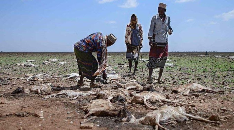 El Programa Mundial de Alimentos alerta sobre las consecuencias de la sequía en el Cuerno de África