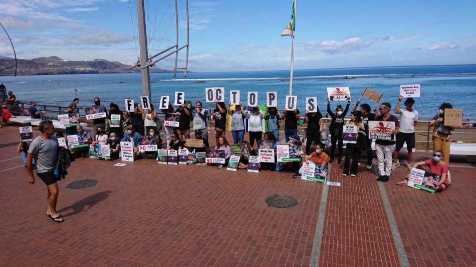 Segundo acto internacional contra la granja de pulpos de Nueva Pescanova