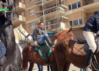 Patadas, cojeras y caballos con espuma y sangre en la boca durante el desfile de Els Tres Tombs de Terrassa