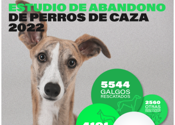 PACMA publica un estudio que cifra en más de 12.000 los perros de caza abandonados durante 2022 en España