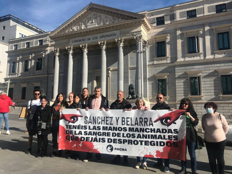 PACMA se concentra al puertas del Congreso acusando a Sánchez y Belarra de tener las manos “manchadas de sangre”