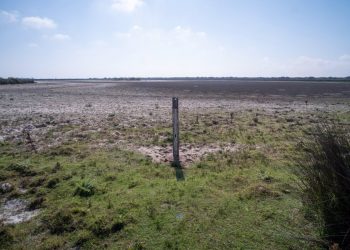 Más País Andalucía teme que “Doñana se convierta en el próximo Mar Menor” por un PP que “desafía la evidencia científica y la normativa medioambiental”