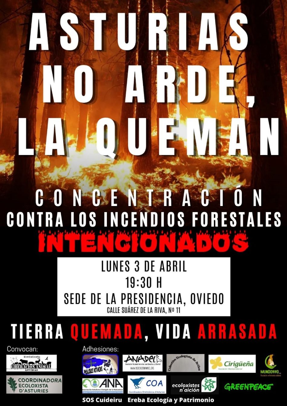 Convocada concentración contra los incendios provocados en Asturias: 3 de abril