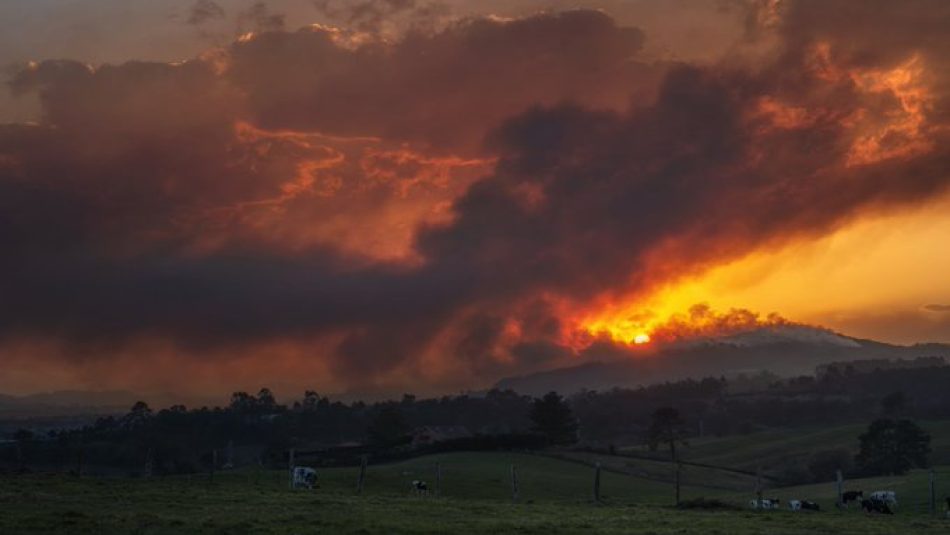 ARBA ante los incendios en Asturias y Cantabria: «Recuperar el acotamiento al pastoreo, reducir plantaciones de pinos y eucaliptos y prohibirlas en montes quemados…»