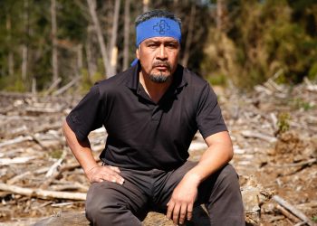 Pueblo Mapuche | Sobre los testigos sin rostro contra Héctor Llaitul