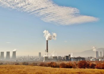 La contaminación del suelo es similar en espacios verdes urbanos y en zonas naturales