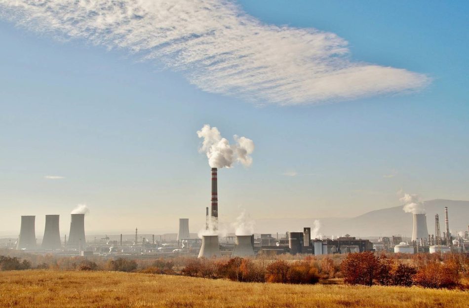 La contaminación del suelo es similar en espacios verdes urbanos y en zonas naturales