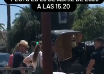 PACMA alerta la presunta muerte de un caballo, otra vez en la Feria de Abril de Sevilla