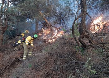 Ecologistas en Acción denuncia el grave e incontrolable incendio forestal en el paraje de Betis, Tarifa