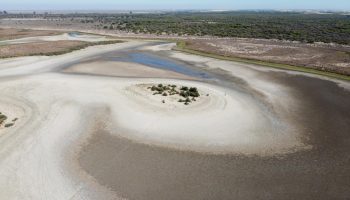 Las administraciones autonómicas, con Doñana, la protección de espacios naturales y megaproyectos, copan los Premios Atila 2023 de Ecologistas en Acción