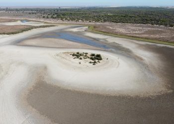 Las administraciones autonómicas, con Doñana, la protección de espacios naturales y megaproyectos, copan los Premios Atila 2023 de Ecologistas en Acción