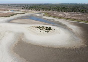 Podemos llevará al Constitucional la Ley de Regadíos de Doñana si finalmente se aprueba