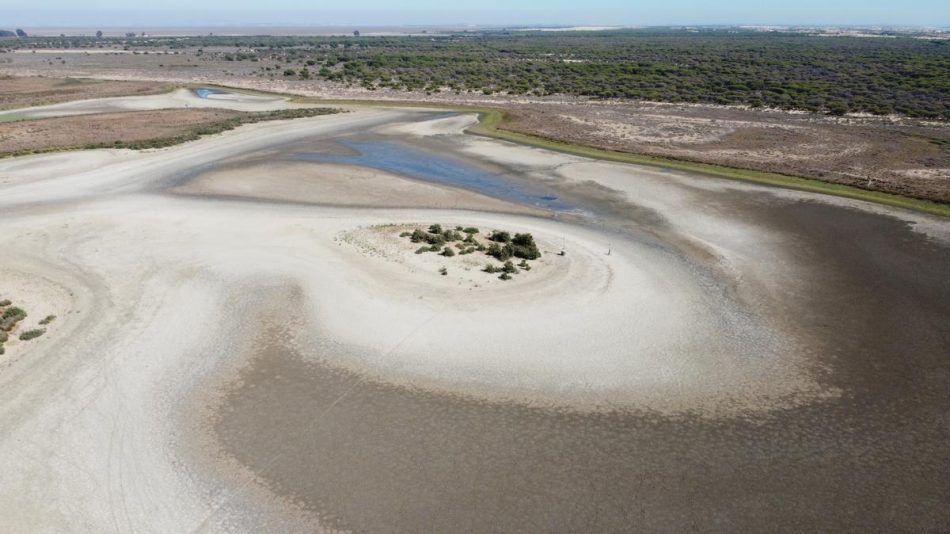 Las administraciones autonómicas, con Doñana, la protección de espacios naturales y megaproyectos, copan los Premios Atila 2023 de Ecologistas en Acción