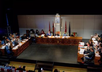 FACUA Madrid participa en los plenos municipales de Alcorcón y Leganés para pedir mejoras en las ciudades