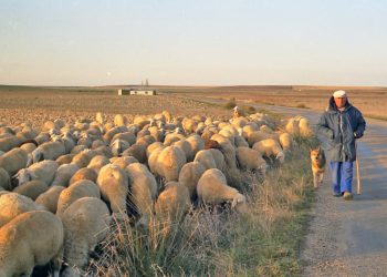 Celebraron el “III Día de las Vías Pecuarias y Caminos Públicos” y las “XV Jornadas en defensa de los Caminos Públicos” en Extremadura