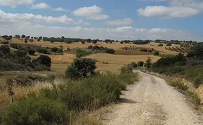 Organizaciones ecologistas y senderistas exigen a la ministra Aagesen aprobar la Red Nacional de Vías Pecuarias