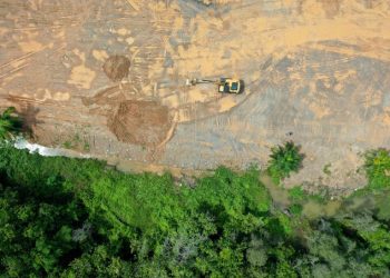 El Parlamento Europeo y el Consejo de la UE aprueban una ley pionera para detener la deforestación