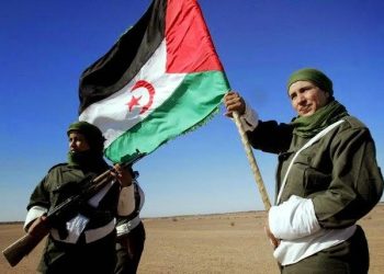 En conmemoración de los 50 años de luchas y de victorias del Frente Polisario