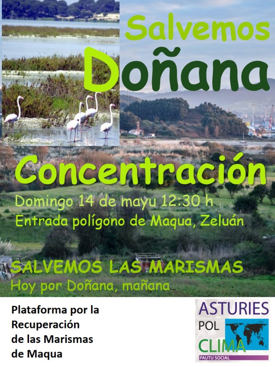Acto de solidaridad  con Doñana en Asturias: “Salvemos las Marismas, los humedales son vida. Hoy por Doñana, mañana?”