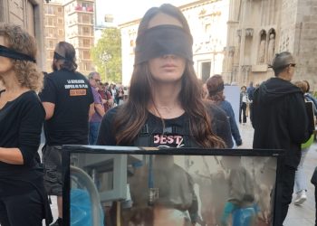 Activistas documentan la situación de los animales frente al matadero de Torrent