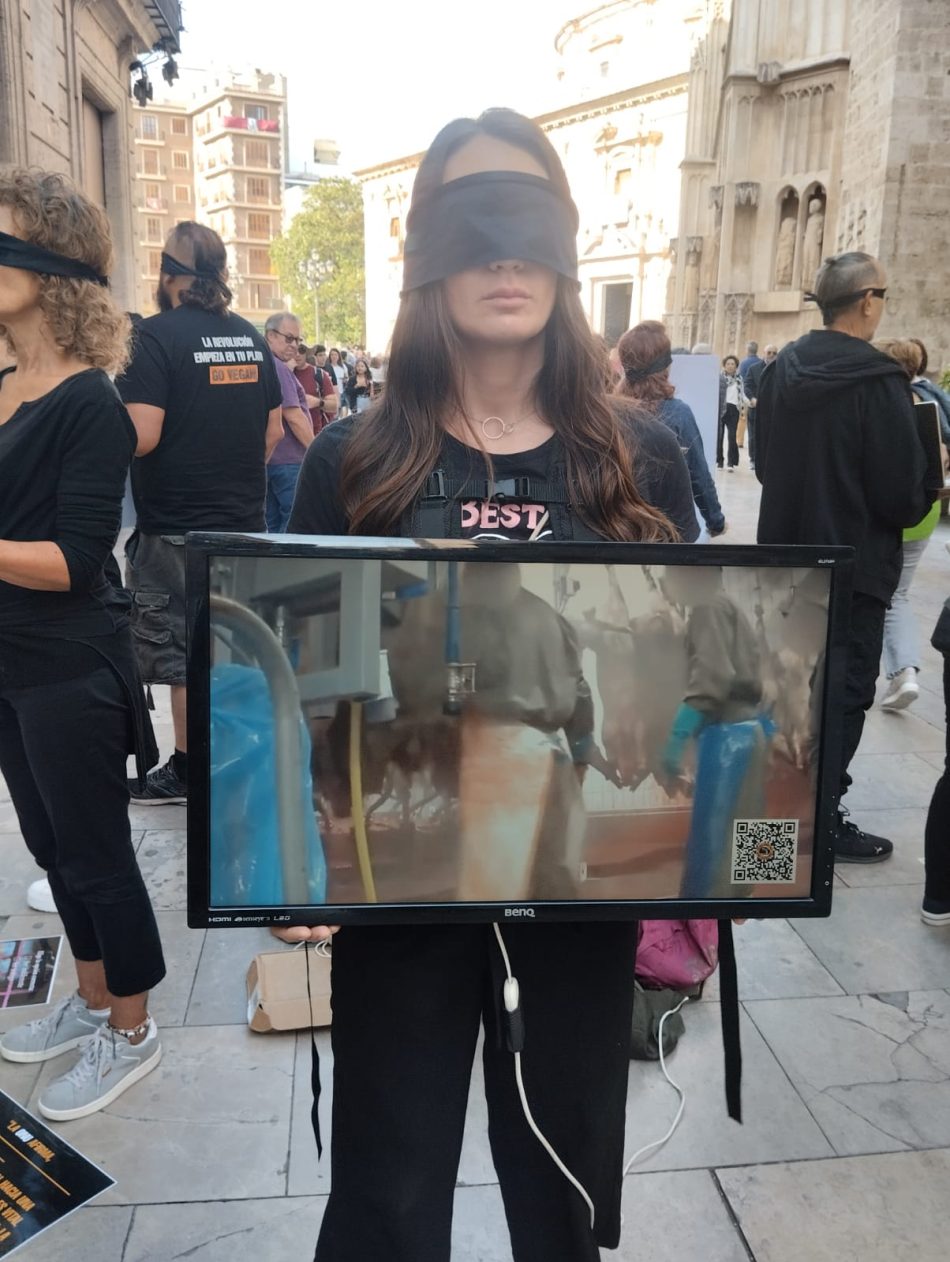 Activistas documentan la situación de los animales frente al matadero de Torrent