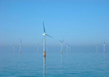 Polémico proyecto offshore de Capital Energy: piden al MITECO el rechazo al parque eólico marino Breogán por su elevado impacto sobre la biodiversidad