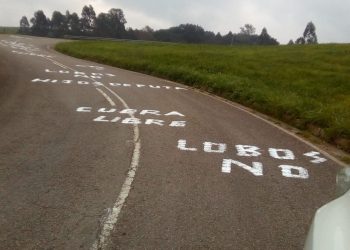 Asturias: «No se puede permitir más violencia y salvajismo con las especies animales»