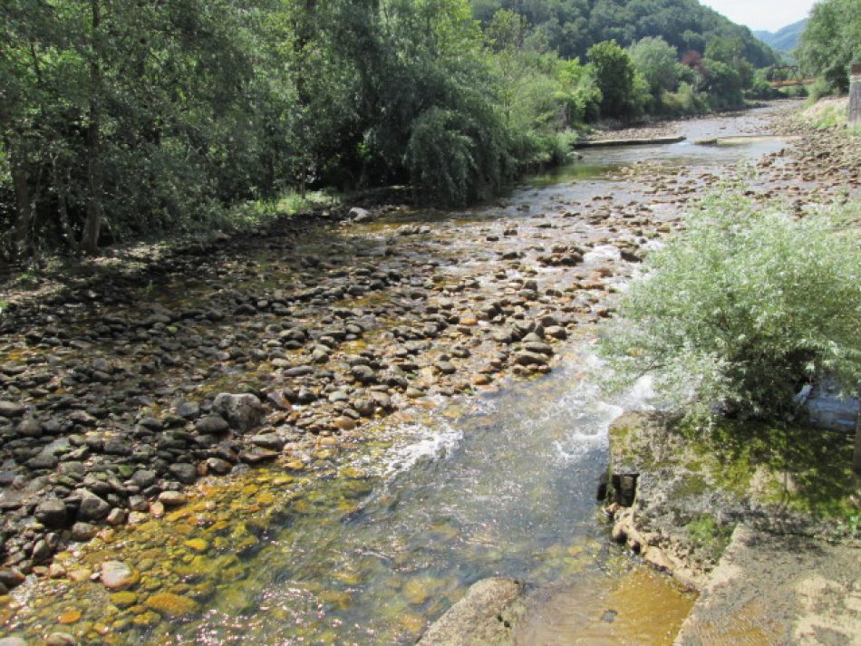 Coordinadora Ecoloxista d’Asturies: «El Principado tiene que suspender sin demora la pesca en los ríos por la sequía»