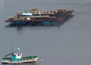 El Ministerio de Agricultura, Pesca y Alimentación convoca la XXII edición del premio Jacumar de investigación en acuicultura