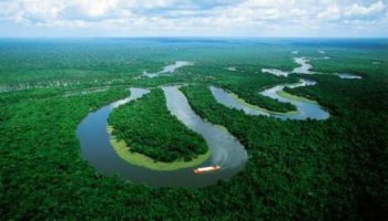 Bolivia propone bloque frente a las amenazas a cuenca amazónica