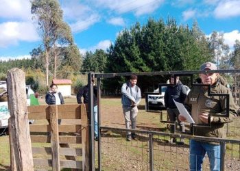 Comunidad Historia ante amedrentamiento e intento de criminalización a dirigenta Mapuche de Boroa