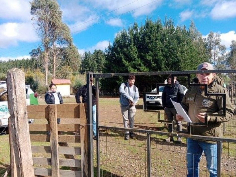 Comunidad Historia ante amedrentamiento e intento de criminalización a dirigenta Mapuche de Boroa