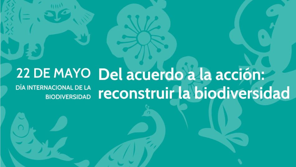 Ecologistas en Acción reclama a las formaciones políticas que se comprometan con la conservación de la biodiversidad