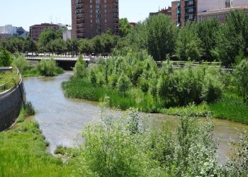 Organizaciones ecologistas, de vivienda y de consumidoras reclaman que el derecho a la naturaleza y la vivienda deben ir de la mano