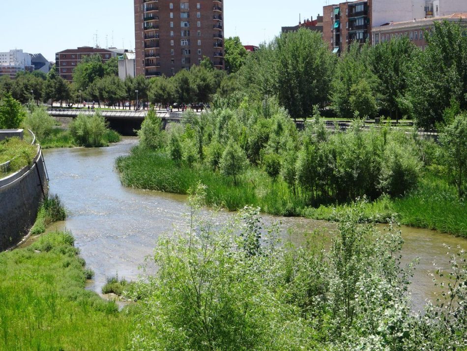 Organizaciones ecologistas, de vivienda y de consumidoras reclaman que el derecho a la naturaleza y la vivienda deben ir de la mano