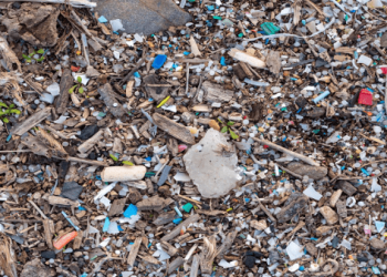 ONU propone medidas para reducir contaminación por plástico para 2040