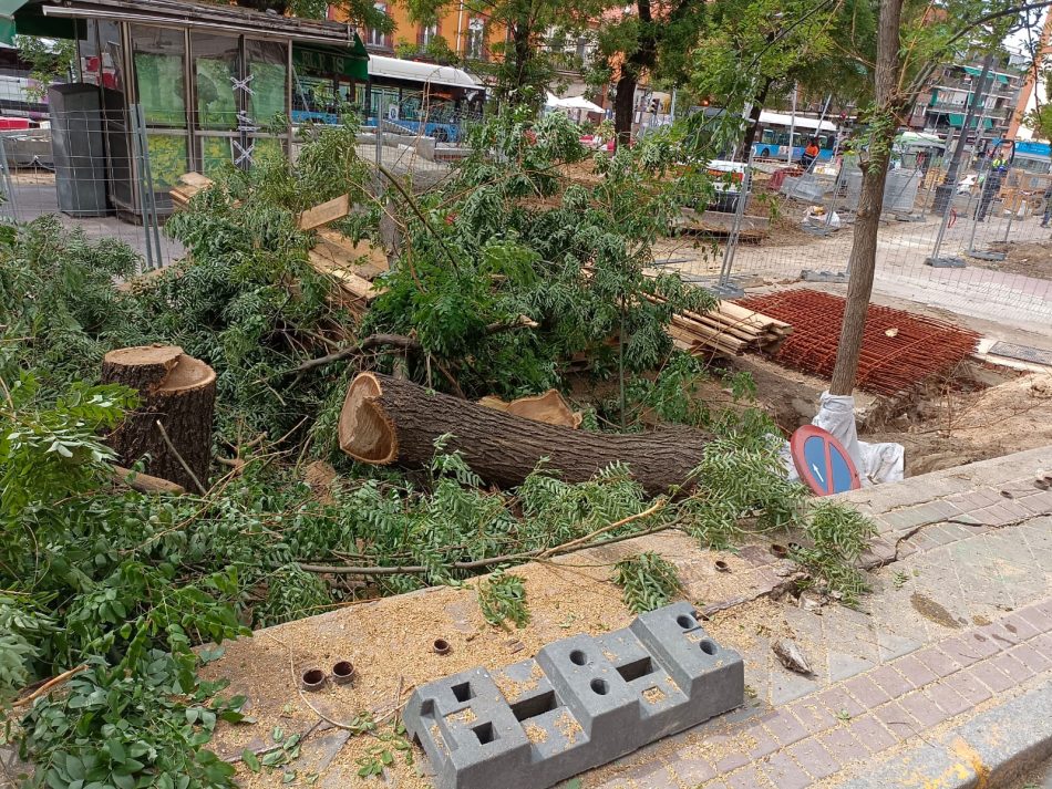 El Ayuntamiento de Madrid tala árboles sin justificación en la plaza de la Emperatriz de Carabanchel