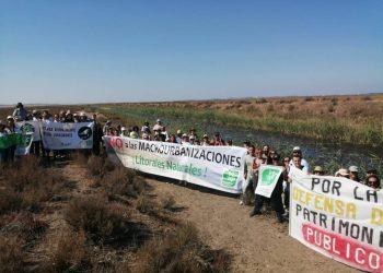 Celebran la cancelación del proyecto de macrourbanización en las marismas de Trebujena, en Cádiz